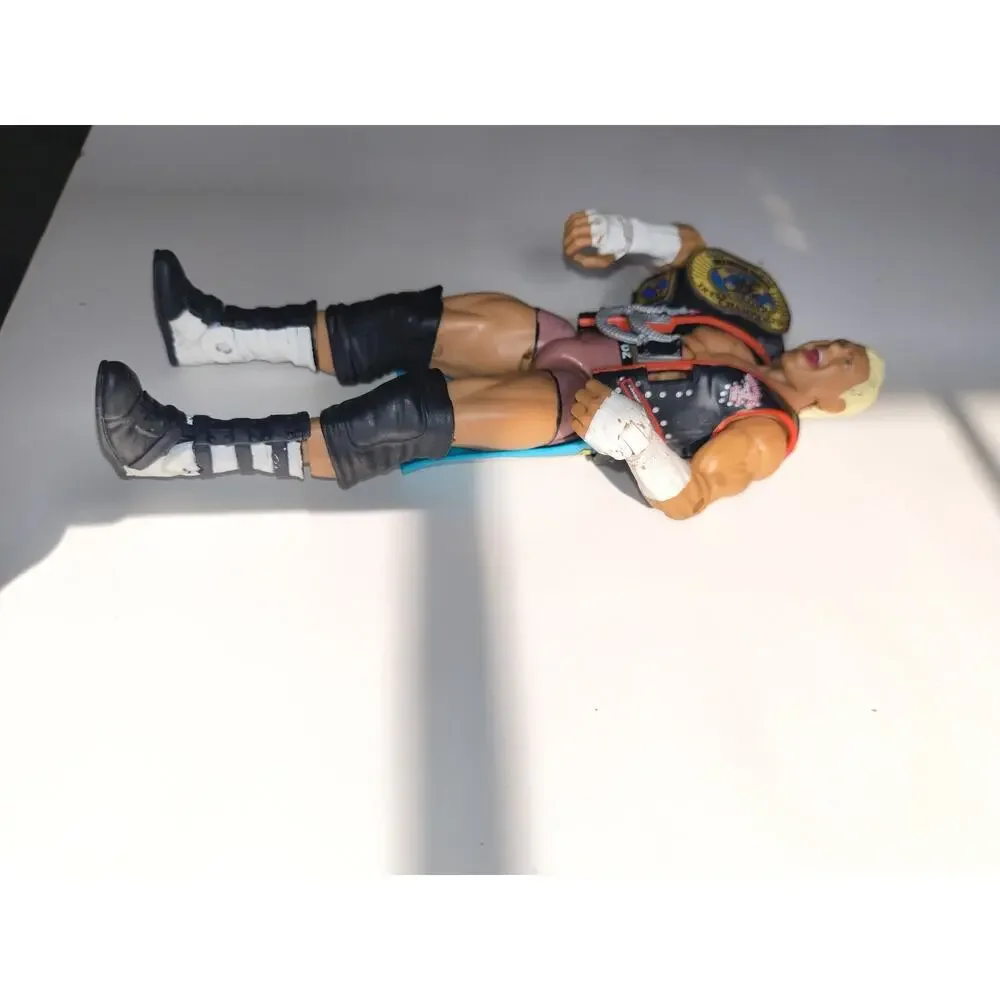 wwe elite Series 24 dolph ziggler With Accessories / Nic Nemeth
